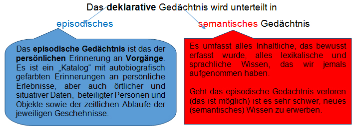 Abbildung zum deklarativen Gedächtnis